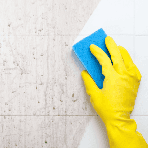 house cleaning Cranberry Township PA